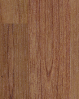 Elements 7mm Oak Laminate in Butterscotch