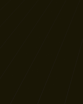 Elesgo Modern Black Laminate Flooring Super Gloss Extra Sensitive