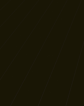 Elesgo Modern Black Laminate Flooring Super Gloss Extra Sensitive