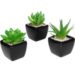 Set Of 3 Modern Home Decor Mini Succulent Artificial Plants With Square Black Ceramic Pots