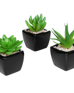 Set Of 3 Modern Home Decor Mini Succulent Artificial Plants With Square Black Ceramic Pots