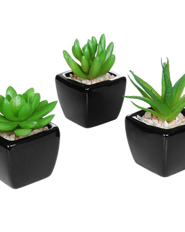 Set Of 3 Modern Home Decor Mini Succulent Artificial Plants With Square Black Ceramic Pots