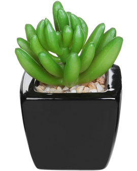 Set Of 3 Modern Home Decor Mini Succulent Artificial Plants With Square Black Ceramic Pots